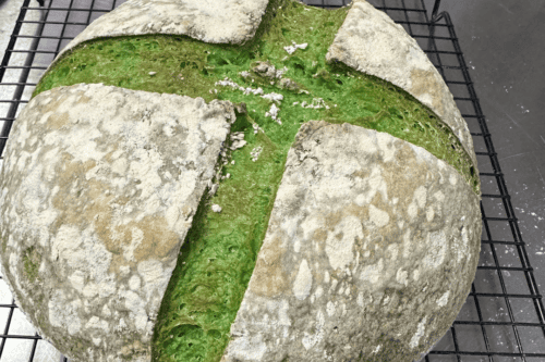 Round loaf of green Xbox bread with cross scoring
